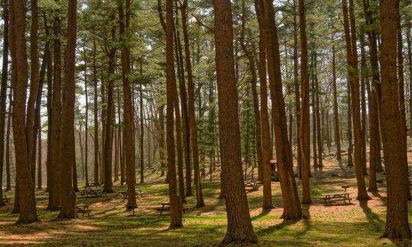 深度关注:肝炎并非“年轻人的病” 老年人感染后更易“闹出大动静”