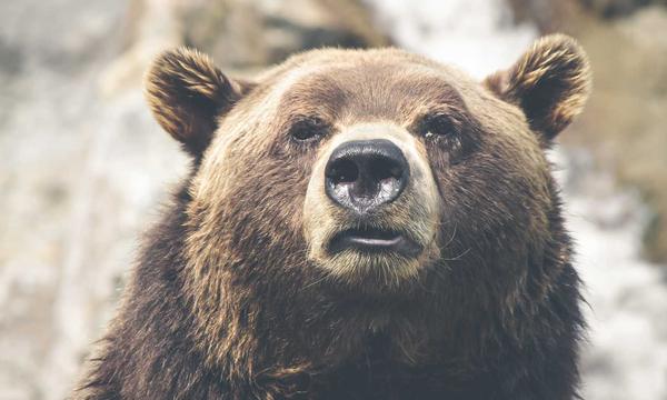 COP15主席黄润秋:将通过高级别会议解决关键难点议题